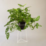 Skaha 18" Floor Planter - Plant Stands - By Plantwares™