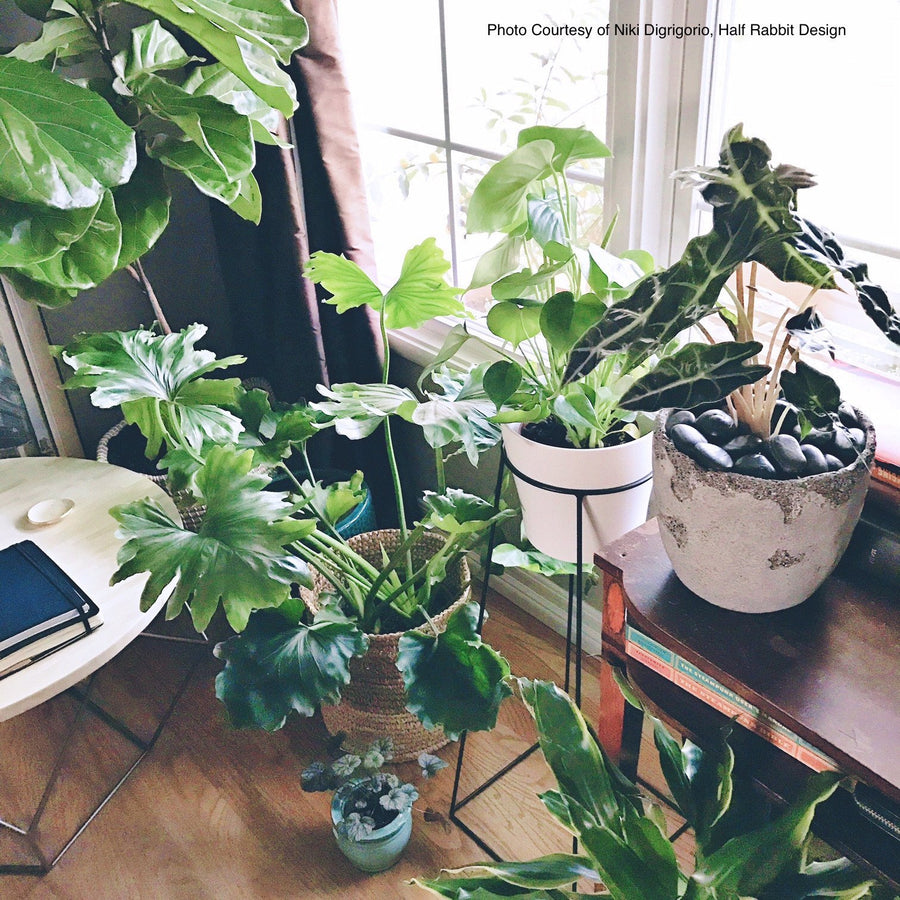 Tulameen 28" Floor Planter - Plant Stands - By Plantwares™