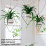 Fernie - Plant Stands - By Plantwares™
