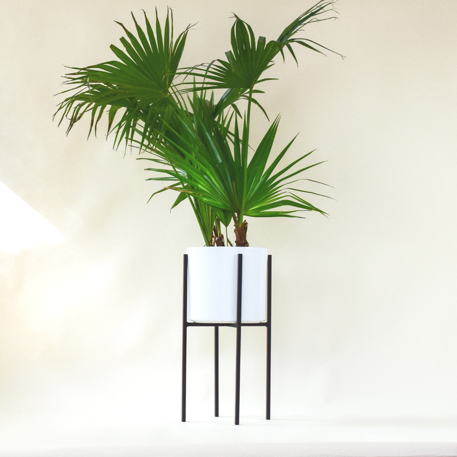 The Oliver - 23" - Plant Stands - By Plantwares™