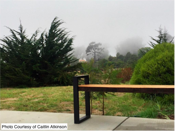 Floating Legs - table legs - By Plantwares™