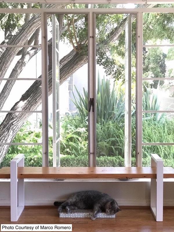 Floating Legs - table legs - By Plantwares™