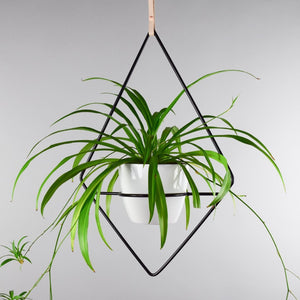 Fernie - Plant Stands - By Plantwares™